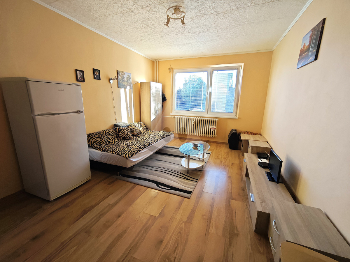 Bachelor flat for rent, Martin