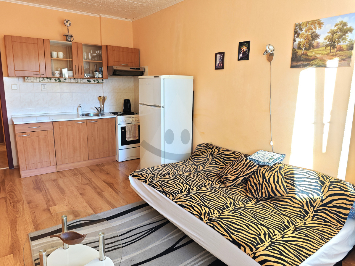 Bachelor flat for rent, Martin