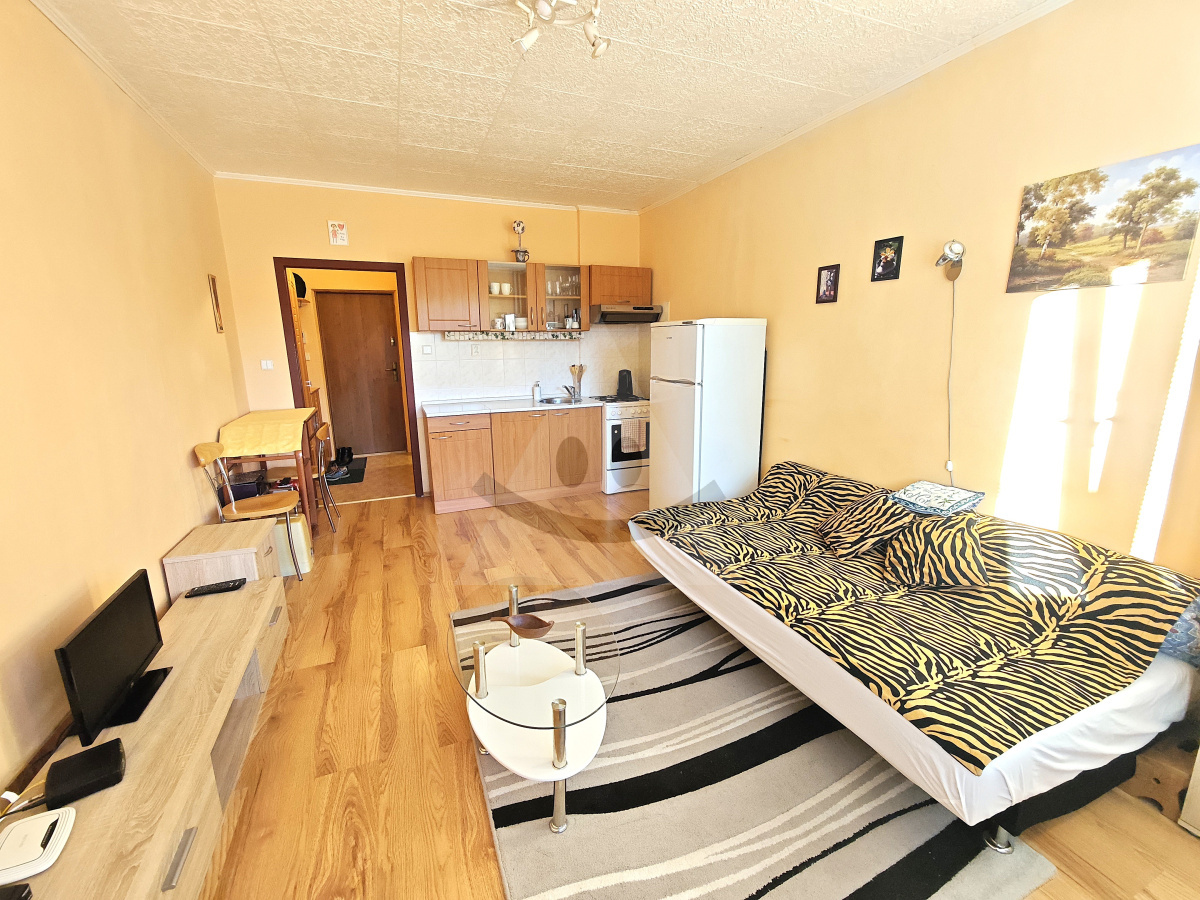 Bachelor flat for rent, Martin