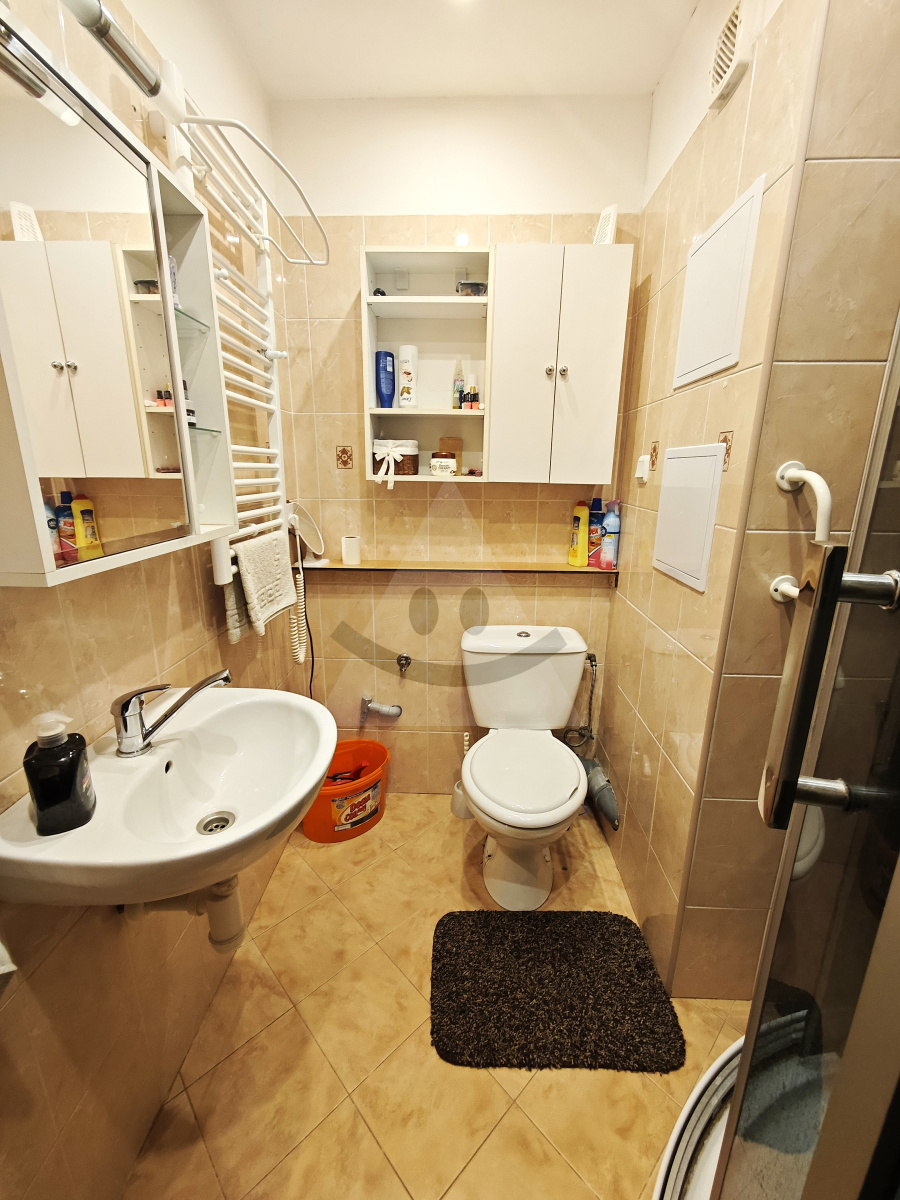 Bachelor flat for rent, Martin
