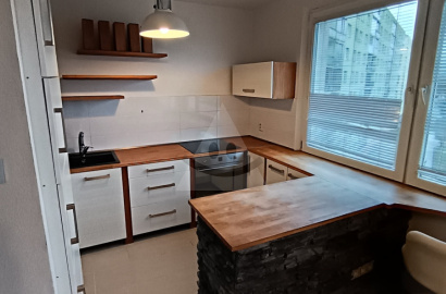 Rent 1-room apartment Košúty1