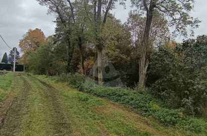 Záhrada na predaj, Tomčany