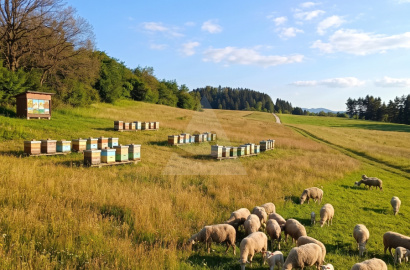 Slnečný pozemok – Turčianske Jaseno (9 508 m2)