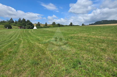 Meadow, pasture for sale Martin, Turčianske Jaseno