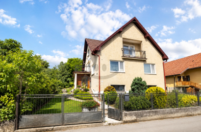 House for sale, Trnovo